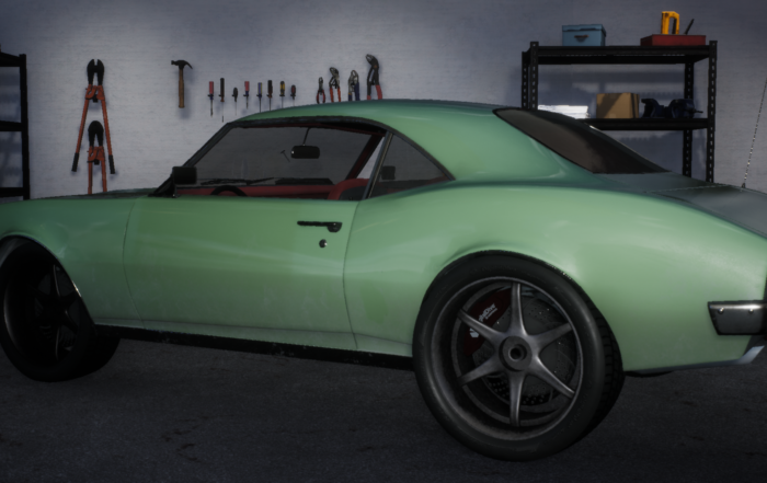 MUSCLE